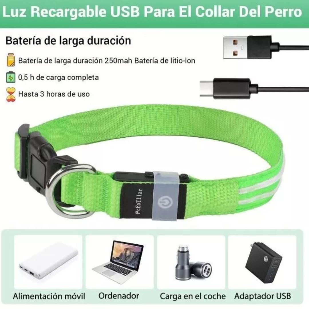 Collar LED para Perros