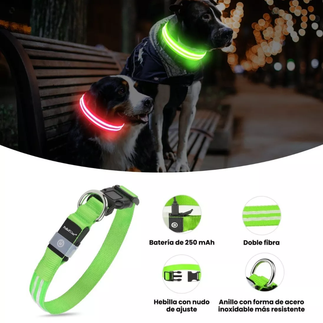Collar LED para Perros