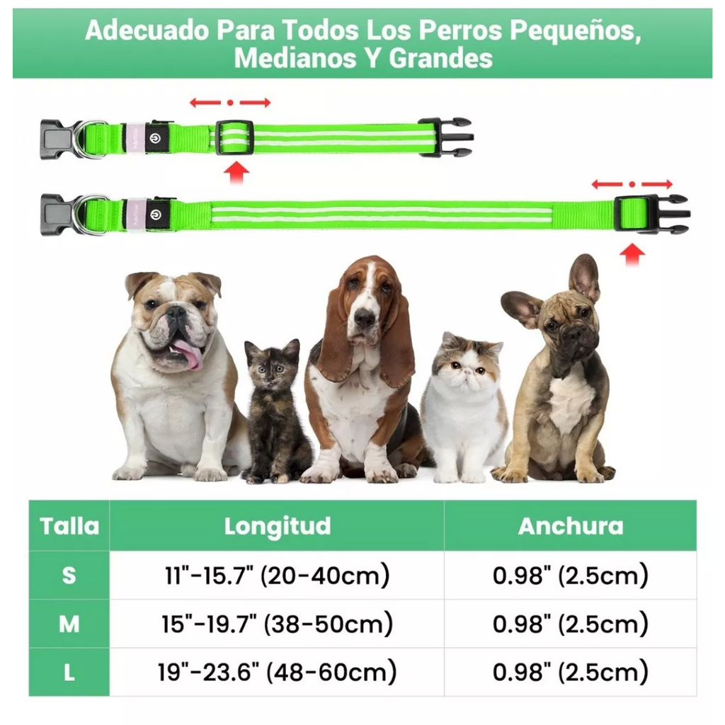 Collar LED para Perros